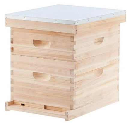 10-frame Langstroth beehive