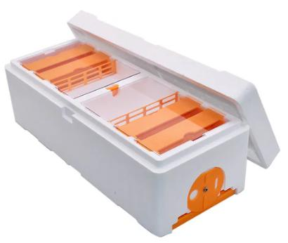 Single Layer Double Mating Nuc Hive