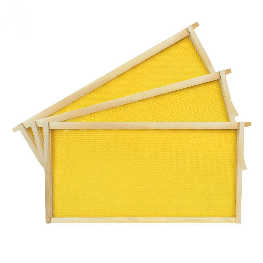 Frame with Wax Foundation