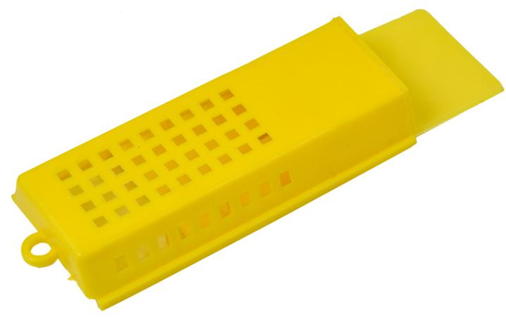 Queen Cage 2