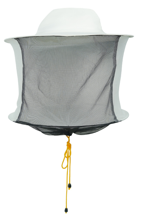 Veil 2
